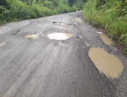 Jalan Rusak dan Berlubang, Perlu Perhatian Khusus Dari Pemerintah Daerah Provinsi Jambi ?!”