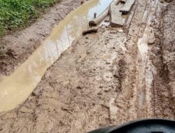 Jalan Tiga Desa Jangkat Timur Rusak Parah Perlu Perhatian Pemerintah Kabupaten Merangin