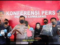 Polres Lumajang Bekuk 1 Pelaku Spesialis Pencurian Sapi Yang Meresahkan Warga Ternyata Positif Narkoba