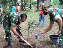 Lindungi Hutan Kota, Koramil 04/Jebres Laksanakan Penanaman Pohon