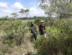 Babinsa Koramil 03/Senapelan Bersama Masyarakat Peduli Api Melaksanakan Patroli & Sosialisasi Cegah Karhutla