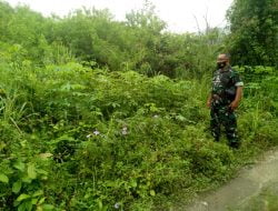 Babinsa Pesisir Laksanakan Patroli Rutin dan Sosialisasikan Tentang Bahaya Kebakaran Hutan dan Lahan