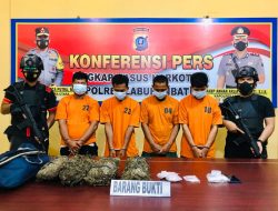 Timsus Presisi Polres Labuhanbatu Gagalkan Peredaran Ganja 3 Kg