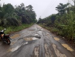 “Jalan Provinsi dari Simpang Pulau Rengas Rusak Parah, Patut Diduga  Akibat Adanya Kendaraan Angkutan Kayu Log yang Melintas ?!”