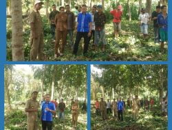 Kepala Desa Manu Kuku Bapak Dominikus Buka, Memimpin Langsung Pembersihan Lokasi Rencana Membangunan Sekolah Menengah Pertama Teologi Kristen (SMPTK) Manu Kuku