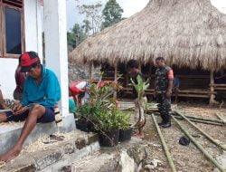 Gotong Royong, Babinsa Sertu Samuel Membantu Membangun Rumah Budaya