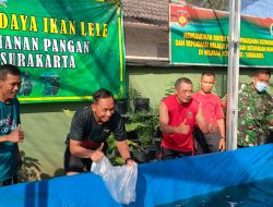 Begini Cara Kodim 0735/Surakarta Dalam Meningkatkan Ketahanan Pangan di Wilayah