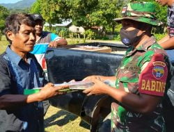 Babinsa Dampingi Dinas Pertanian Pemangkasan Jambu Mente Dan Penjelasan Sertifikat Tanah Proyek Jambu Mente