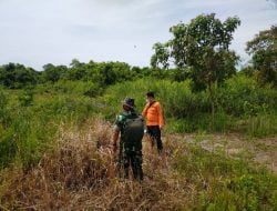 Babinsa Patroli Sekaligus Sosialisasi Cegah Kebakaran Hutan dan Lahan