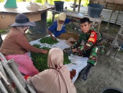 Bersinergi Bersama Masyarakat Babinsa Melaksanakan Hanpangan