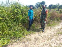 Tidak Henti-hentinya Serma Afriadi Koramil 05/Sail Melaksanakan Patroli Karlahut