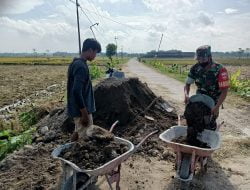 Pengerasan Jalan Sawah Membawa Kemudahan bagi Petani Dukuh Rejosari