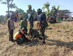 Danramil 02/Banjarsari Pimpin Reboisasi Penanaman Bibit Pohon Eucalyptus di Bantaran Sungai Gajah Putih