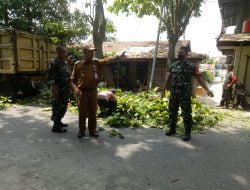 Babinsa dan Lurah Gotong-royong Tebang Pohon Yang Mengganggu Kabel Listrik