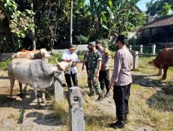 Jelang Hari Raya Kurban, Petugas Gabungan Gelar Operasi PMK Di Pasar Hewan