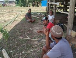 “Kegiatan Kelompok Tani Lara Moripa di Bidang Hortikultura dalam Program P2L”