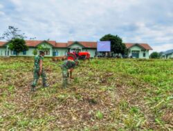 Perkuat Ketahanan Pangan, Kodim Way Kanan Siapkan 17 Hektare Lahan Pertanian