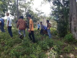 3 Orang Pelaku PETI Tewas di Lubang Jarum Desa Birun