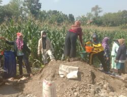 Ada Bidadari Cantik di Lokasi TMMD Reguler Ke 114 Desa Jerukan