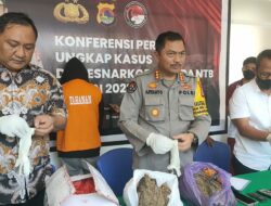 Polda NTB Amankan Dua Bungkus Besar Narkoba di Lombok Timur