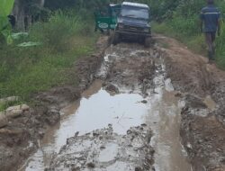 “Terkesan Tak Kunjung Diperbaiki, Jalan Rusak di Desa Tanjung Kasri dan Desa Renah Kemumu Dikeluhkan Pengguna Jalan dan Masyarakat ?!”