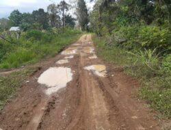 “Warga Desa Rantau Macang Keluhkan Jalan Rusak Parah dan Berlumpur ?!”