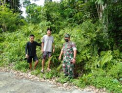 Babinsa Melaksanakan Sosialisasi Cegah Kebakaran Hutan dan Lahan