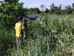 Mancegah Terjadinya Kebakaran Hutan dan Lahan Babinsa Bersama MPA Melaksanakan Patroli dan Sosialisasi Karhutla