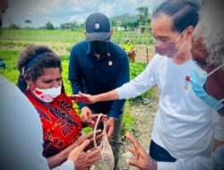 Presiden Jokowi Tinjau Kawasan Rumah Sehat di Kabupaten Jayapura