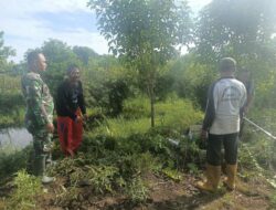 Babinsa Kelurahan Simpang Tiga Bersama Warga Budayakan Gotong Royong