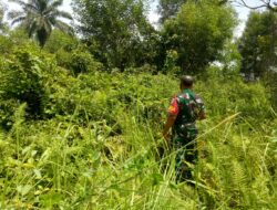 Serma Sahrun Babinsa Pesisir Melaksanakan Patroli Karlahut di Jalan Badak Ujung