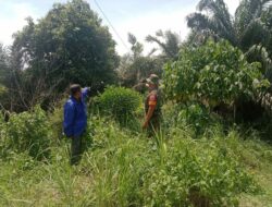 Mencegah Terjadinya Kebakaran Hutan dan Lahan Babinsa Bersama MPA Melaksanakan Patroli dan Sosialisasi Karhutla