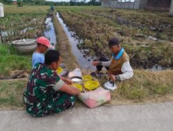 Himbau Tingkatkan Swasembada Pangan, Babinsa Guli Komsos Dengan Petani