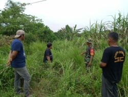 Cegah Kebakaran Hutan & Lahan Babinsa Tangkerang Timur Rutin Laksanakan Patroli dan Sosialisasi Karhutla