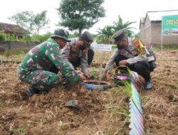 Kodim 0726/Sukoharjo Gelar Program Penanaman 5000 Pohon Bibit Buah