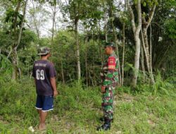 Babinsa Koramil 04/LPH Terus Laksanakan  Patroli Rutin Di Wilayah Rawan Karhutla