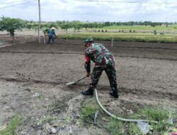 Sertu Susanto Bersinergi Bersama MasyarakatMelaksanakan Program Ketahanan Pangan