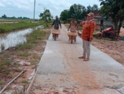 Use Village Funds (DD), Panggung Rejo Village – Mesuji District to Build Concrete Rabat Roads