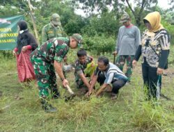 Kurangi Dampak Pemanasan Global, Koramil 02/Banjarsari Tanam Pohon Buah di Wilayah Binaan