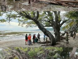 Kades Nampar Sepang Aliwardana bersama Kapolsek Sambi Rampas, Ipda Kiki Z. M Bachsoan S.Sos Tinjau Terjadinya Abrasi di Pesisir Pantai Wilayah Desa Nampar Sepang.