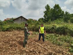 Deteksi Dini Kebakaran Hutan, Babinsa Koramil 05/Sail Rutin Patroli Karhutla