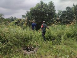 Antisipasi Karhutla Di Wilayah Binaan, Babinsa Koramil 03/Senapelan Bersama MPA Aktif Laksanakan Kegiatan Patroli Dan Sosialisasi