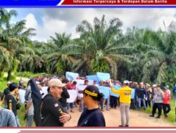 Ratusan warga Kampung Sunsang, Kotabumi dan Penengahan Negeri Agung Demo PT. Abdi Karya Gemilang Tuntut Pengembalian Hak Tanah Warga