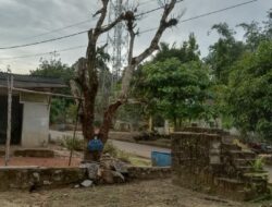 “Tiang Tower Yang Berdiri Di Lahan Milik Desa Limbung, Statusnya Di Kontrak ?!”