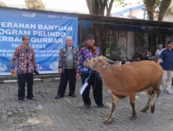 CEO Pelindo Regional 3 Sub Regional Kalimantan dan Jajaran Menyerahkan Hewan Qurban