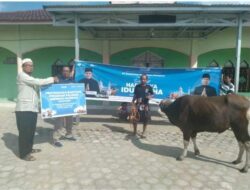 Salurkan Bantuan 1 Ekor Sapi Kepada Kepada Masjid Al Iman, Pelindo Cabang Pulang Pisau Rayakan Idul Adha Bersama TKBM & Masyarakat Sekitar