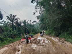 “RATUSAN KUBIK KAYU KELUAR DARI DESA MEKAR LIMAU MANIS, SEDANGKAN JALAN RAKYAT RUSAK BERAT ?!”