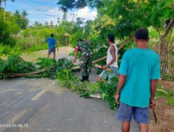 Babinsa Koramil 03/Pahunga Lodu Bersama Bantu Warga Pangkas Pohon di Pinggir Jalan