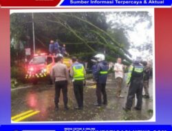 Polsek Ciawi Bersama Instansi Terkait Lakukan Evakuasi Pohon Tumbang Jalan Raya Puncak Desa Pandansari Ciawi Kabupaten Bogor