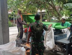 Wujudkan Pendampingan Babinsa Bantu Warga Binaan Giling Padi